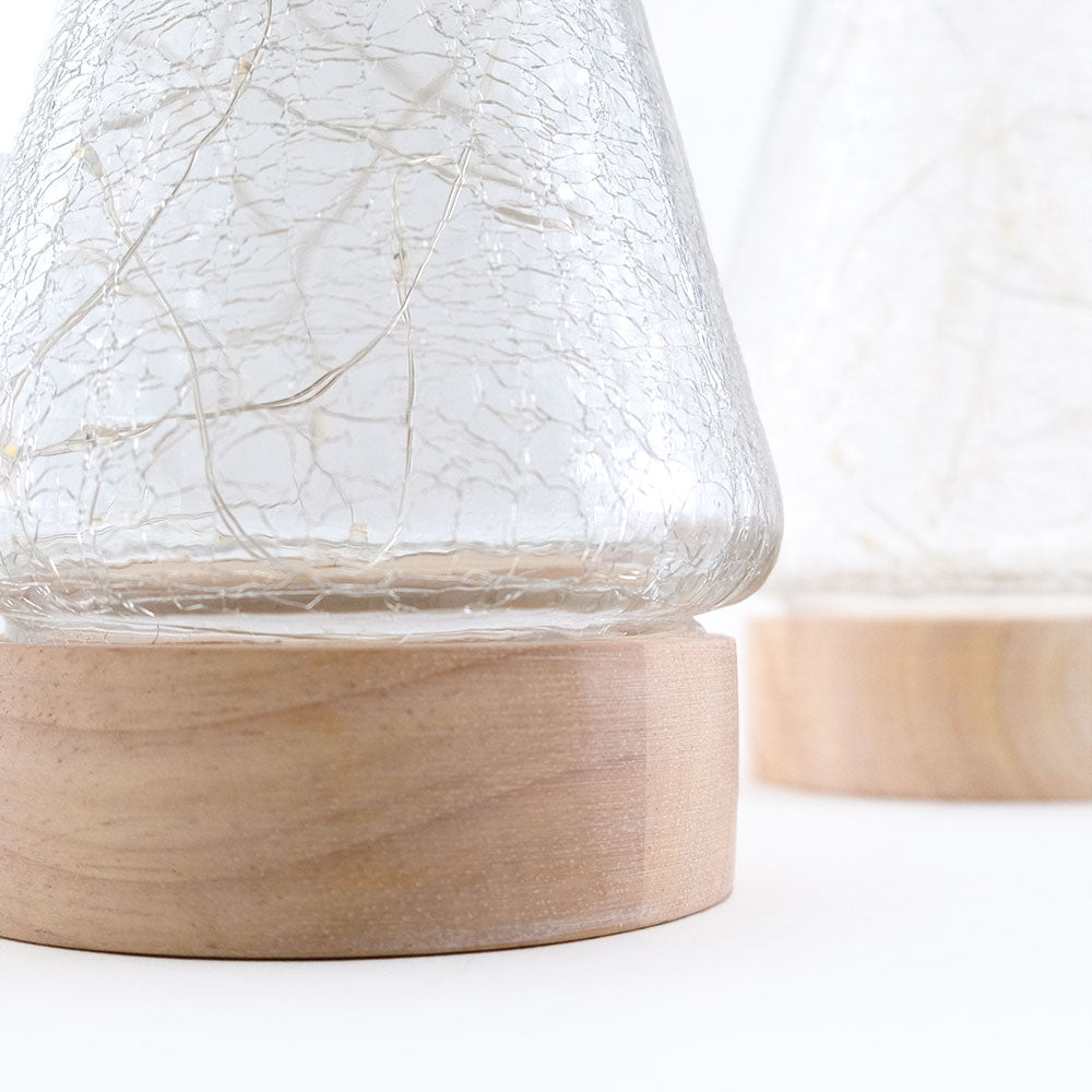 ◆NEW◆LED Light/インテリアライト/ツリー&ドーム