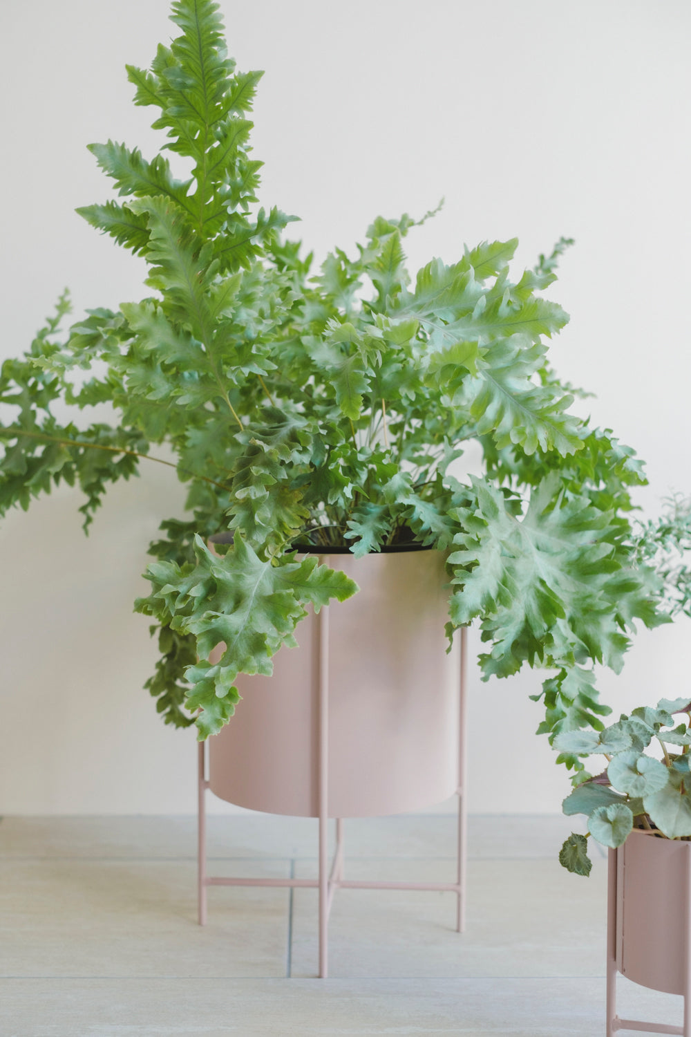Iron Planter with Stand/アイアンプランター/マットピンク