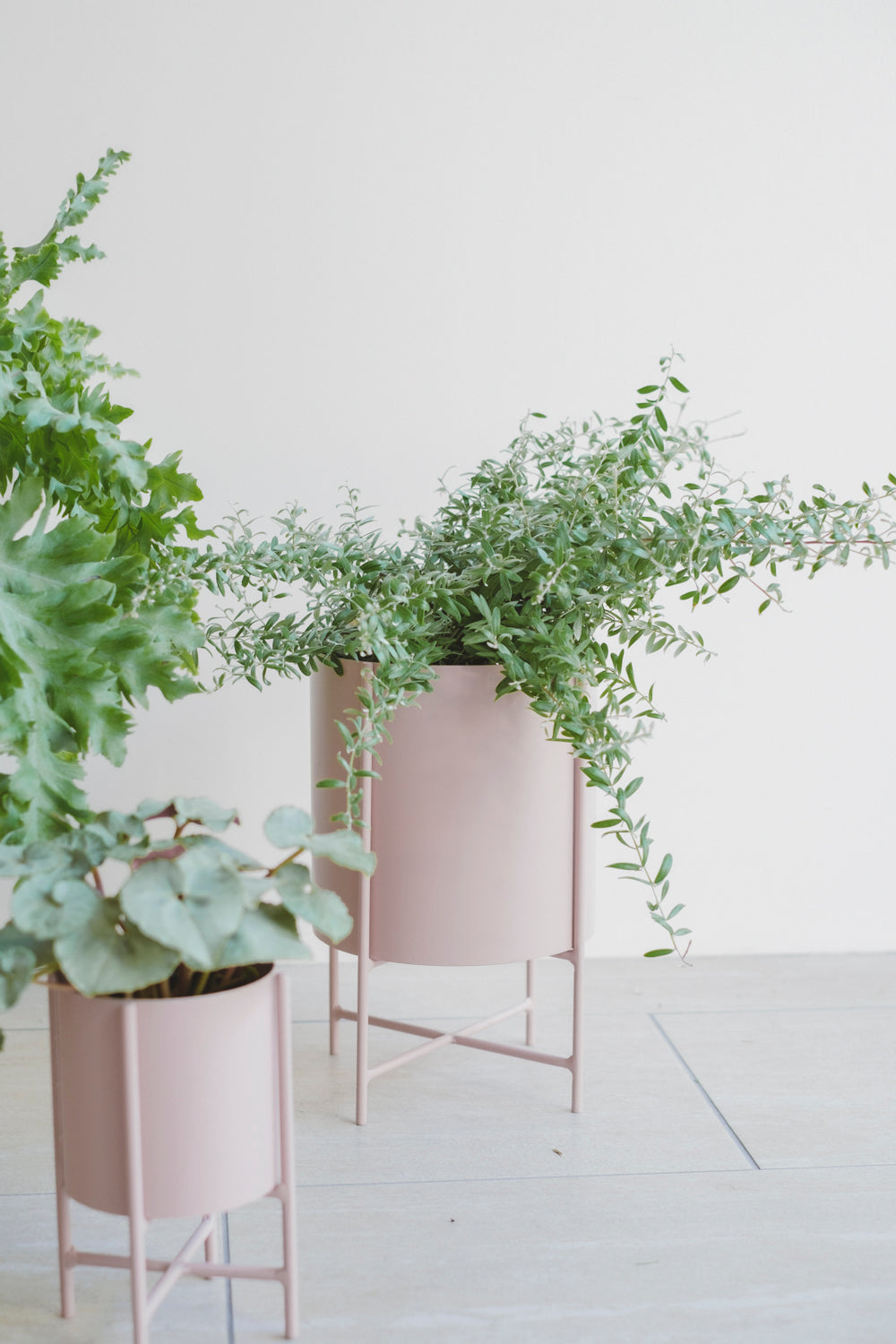 Iron Planter with Stand/アイアンプランター/マットピンク