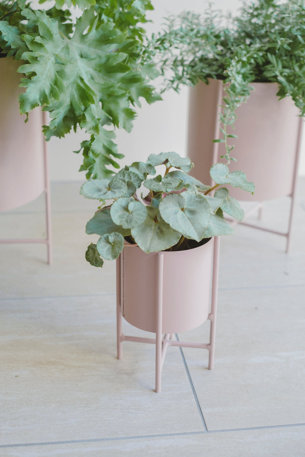 Iron Planter with Stand/アイアンプランター/マットピンク