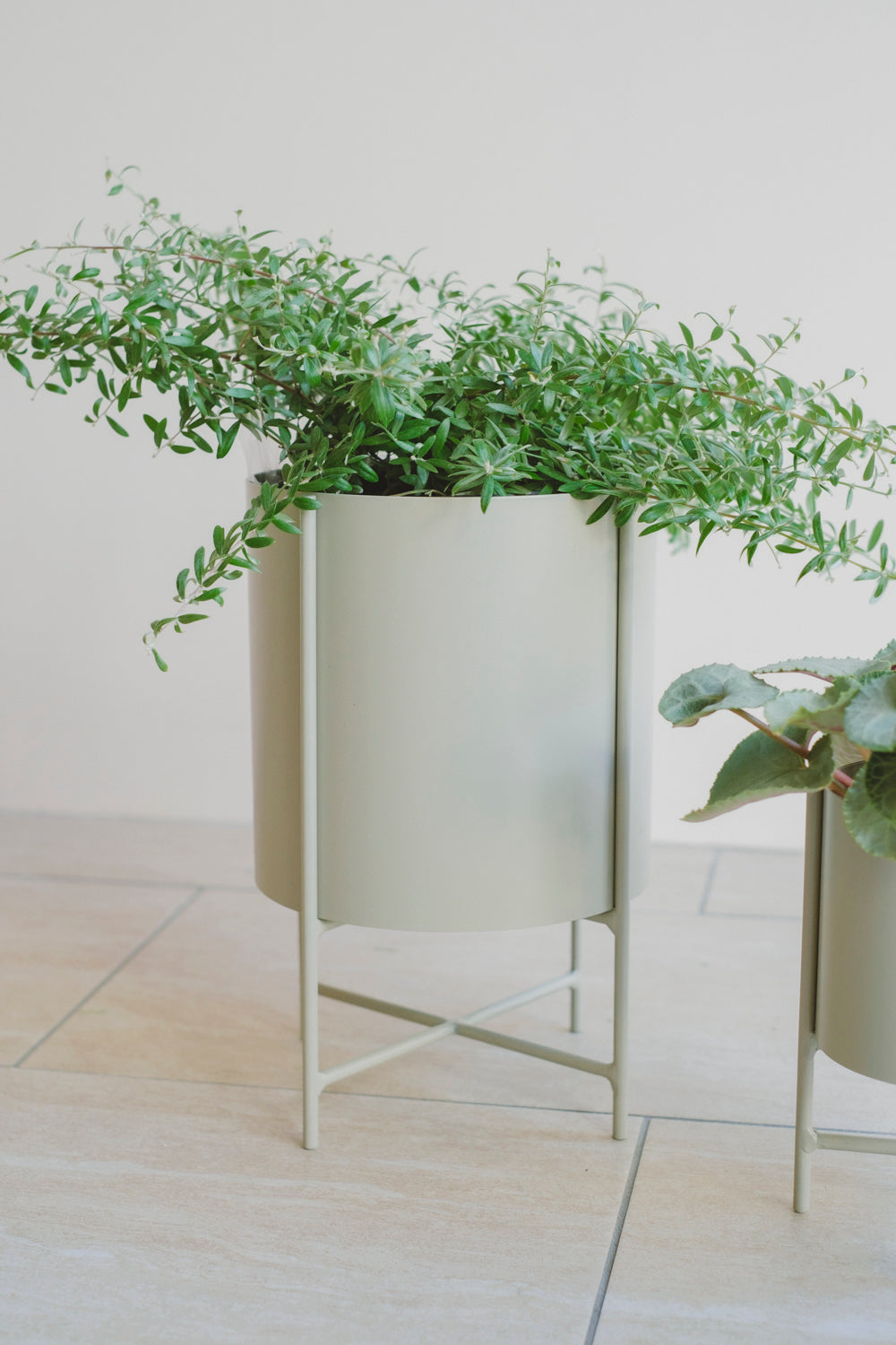 Iron Planter with Stand/アイアンプランター/ミルキーグリーン