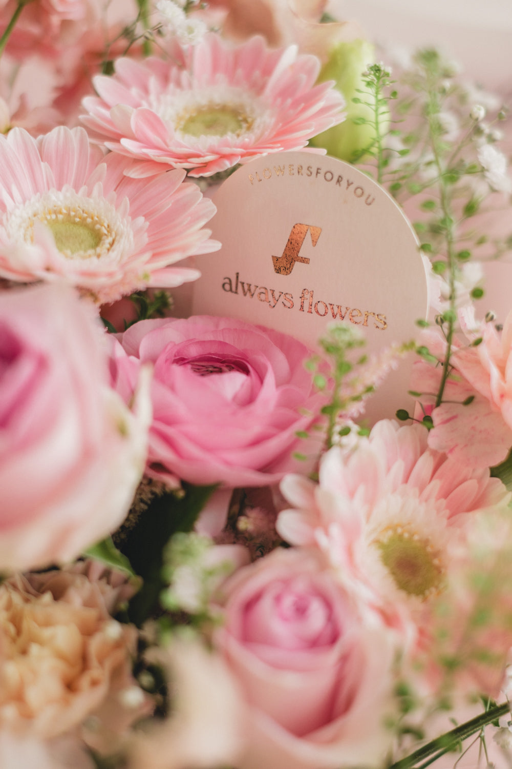 ◆1/6-3/22お届け限定◆Message Bouquet/メッセージブーケ ピンクシロップ/生花・花束