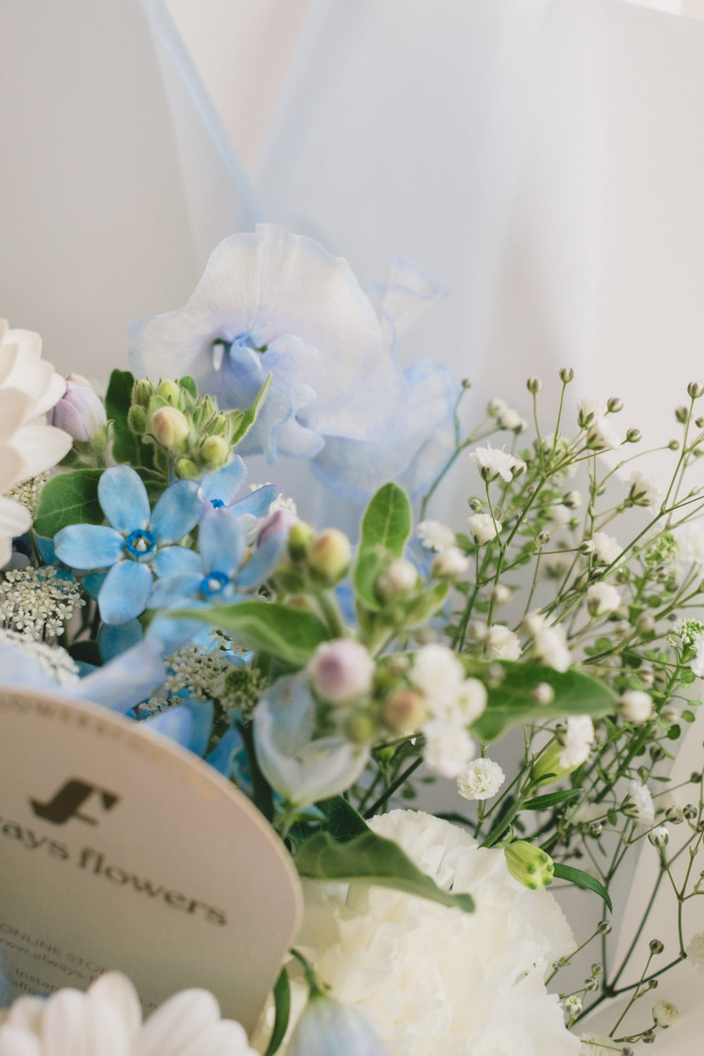 ◆1/6-3/22お届け限定◆Message Bouquet/メッセージブーケ ブルージュレ/生花・花束