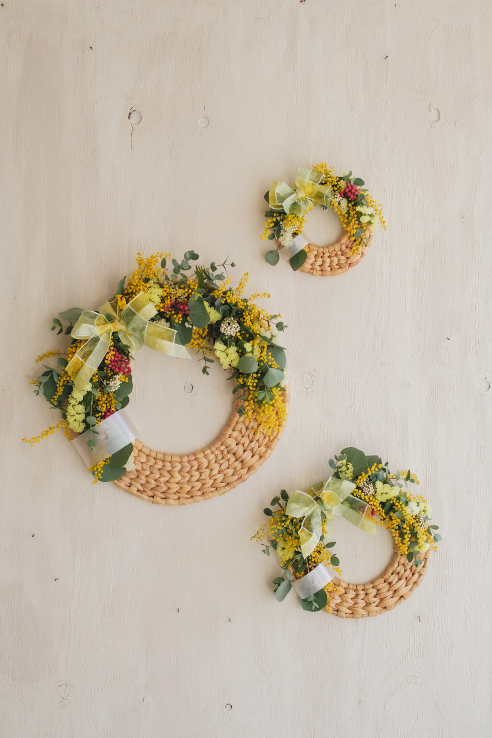 ◆NEW季節限定◆Disc Wreath/ディスクリース ミモザクーロンヌ/ドライフラワー&プリザーブドフラワー