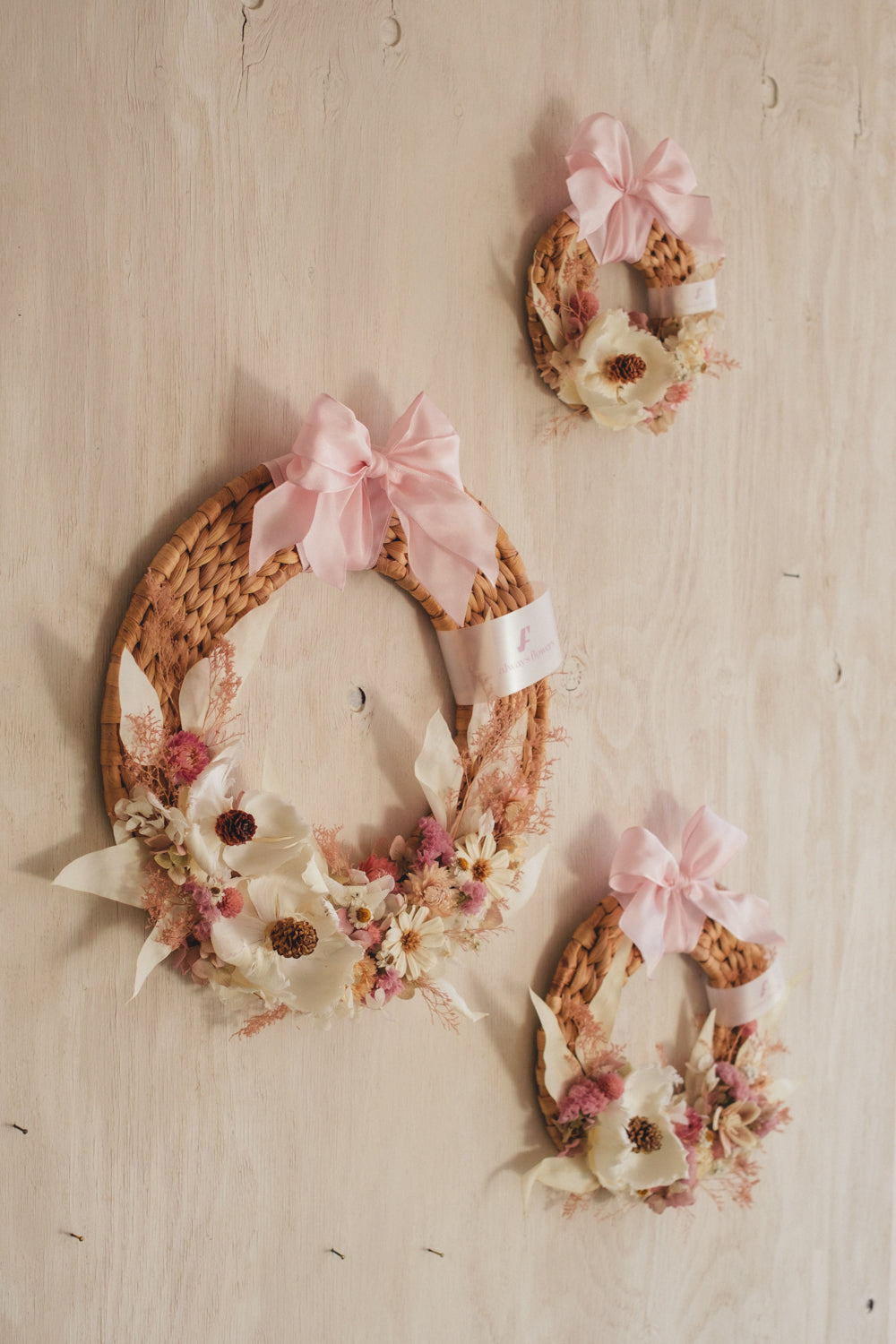 ◆NEW◆Disc Wreath/ディスクリース ミルキーピンク/ドライフラワー&プリザーブドフラワー