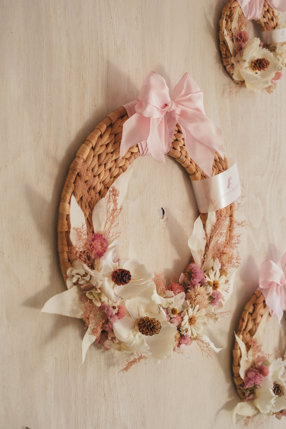 ◆NEW◆Disc Wreath/ディスクリース ミルキーピンク/ドライフラワー&プリザーブドフラワー