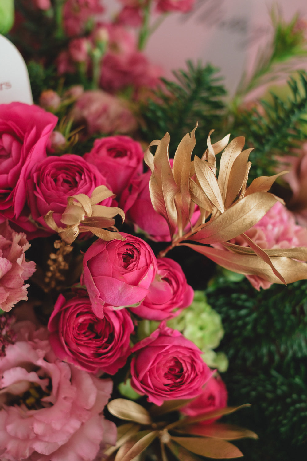 ◆11/29-12/26お届け限定◆Message Bouquet/メッセージブーケ ペツォッタイト/生花・花束