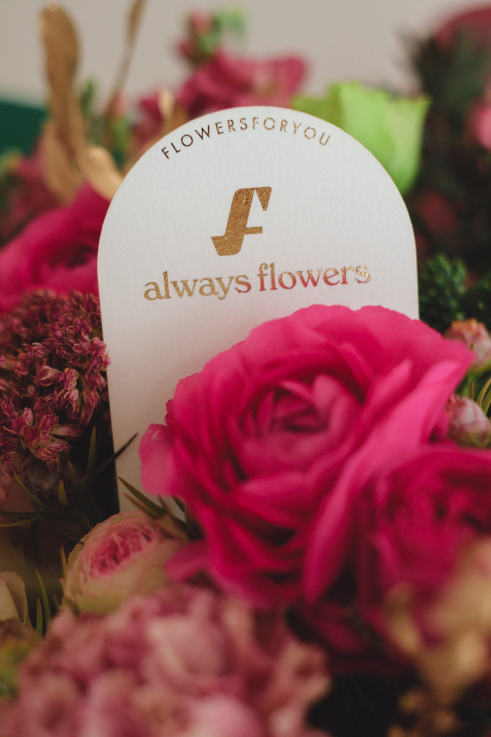 ◆11/29-12/26お届け限定◆Message Bouquet/メッセージブーケ ペツォッタイト/生花・花束