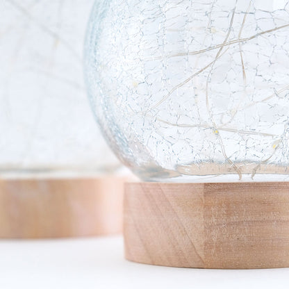 ◆NEW◆LED Light／インテリアライト／ツリー＆ドーム