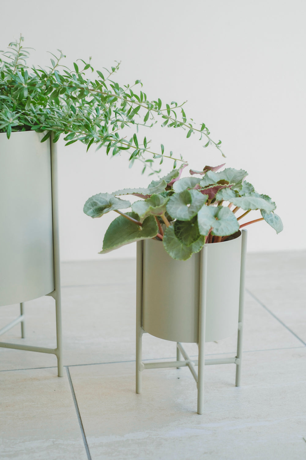 Iron Planter with Stand/アイアンプランター/ミルキーグリーン