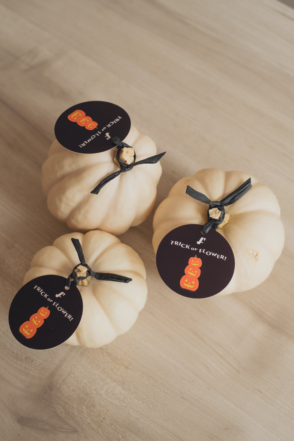 ◆ハロウィン限定◆White Puｍpkin／ホワイトパンプキン2個セット