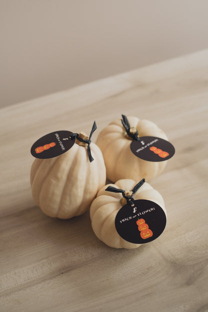 ◆ハロウィン限定◆White Puｍpkin／ホワイトパンプキン2個セット