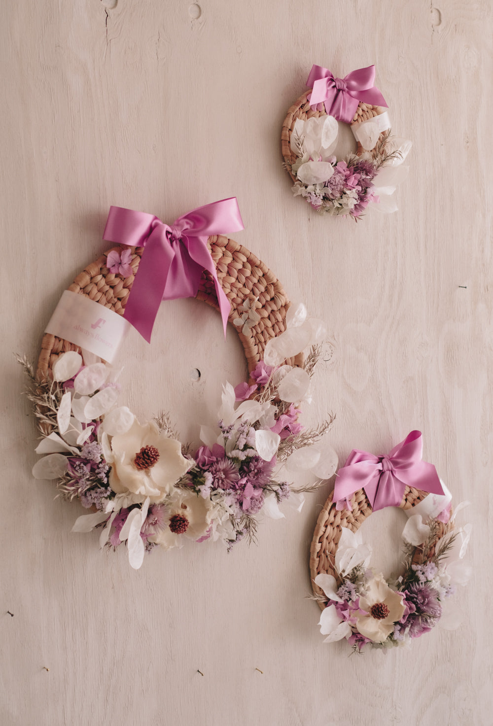 季節限定◆Disc Wreath/ディスクリース ミミ/ドライフラワー&プリザーブドフラワー