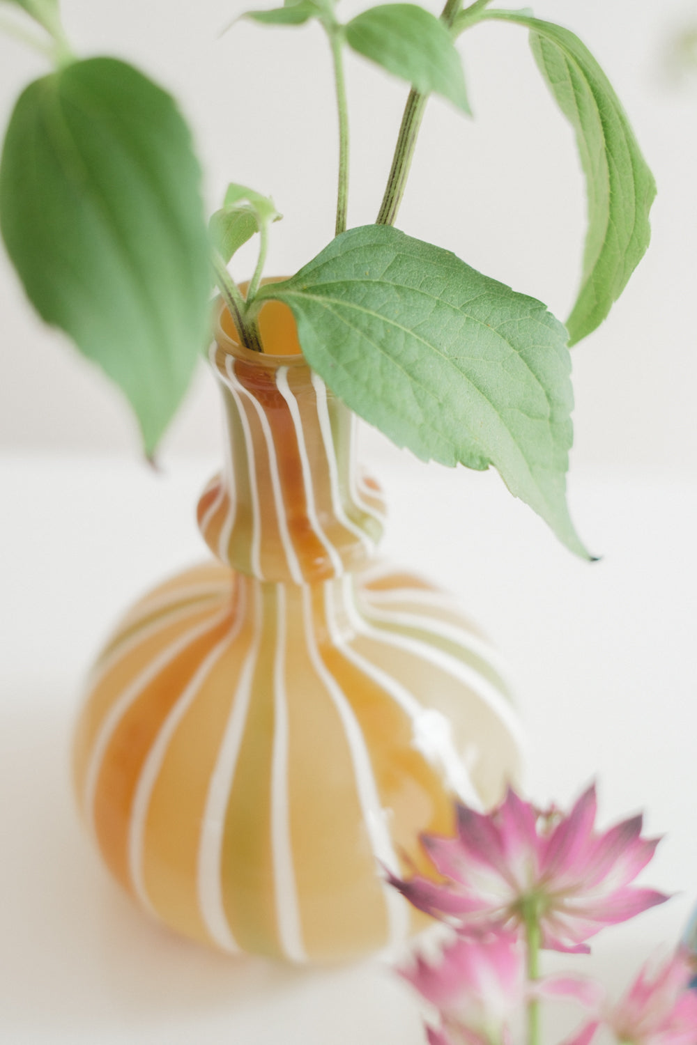 NEW◆Flower Vase／花器・フラワーベース＆お花／ジェリーフィッシュ