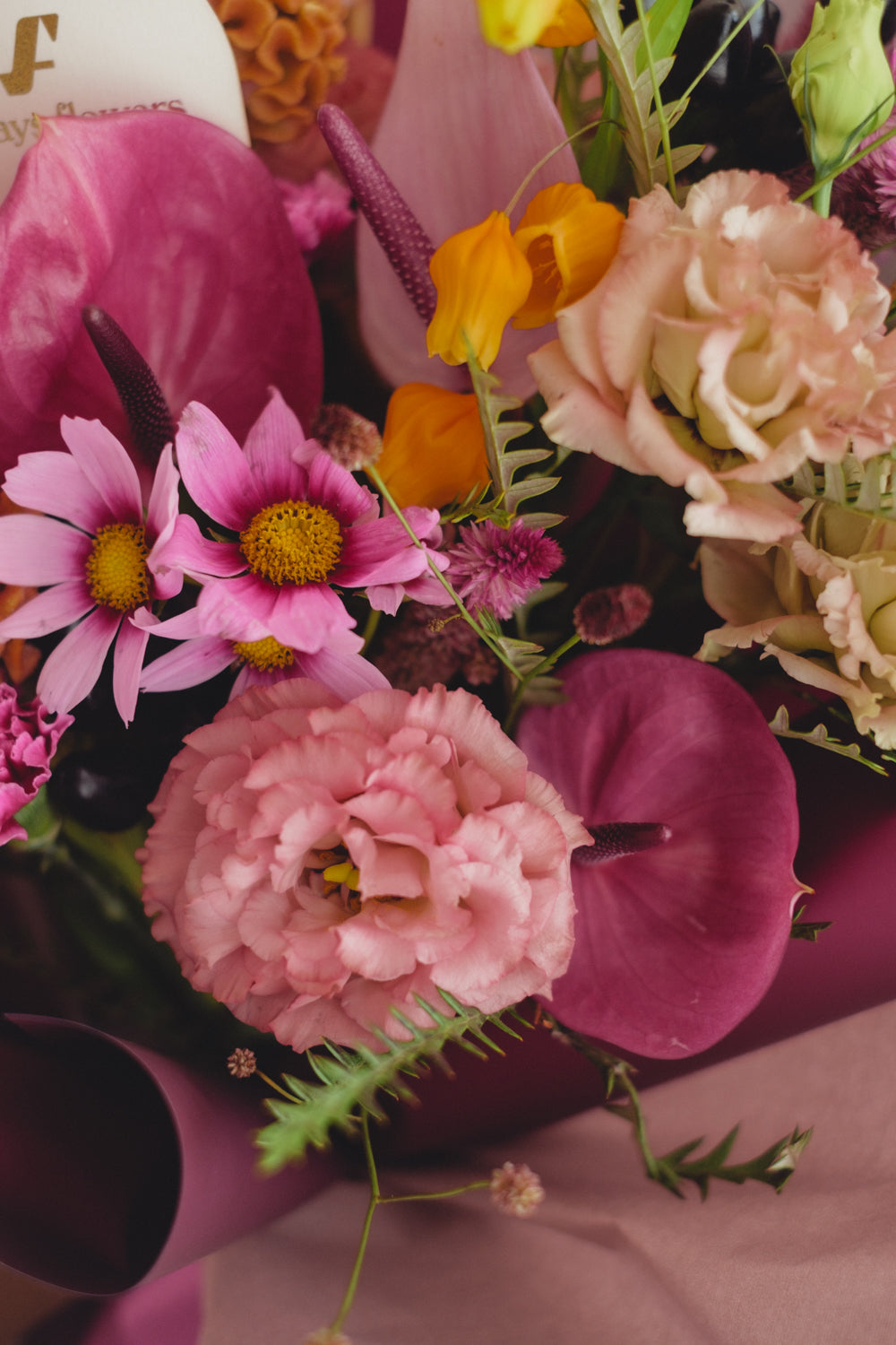 ◆9/13-10/31お届け限定◆Message Bouquet／メッセージブーケ　ヴェロアモーヴ／生花・花束
